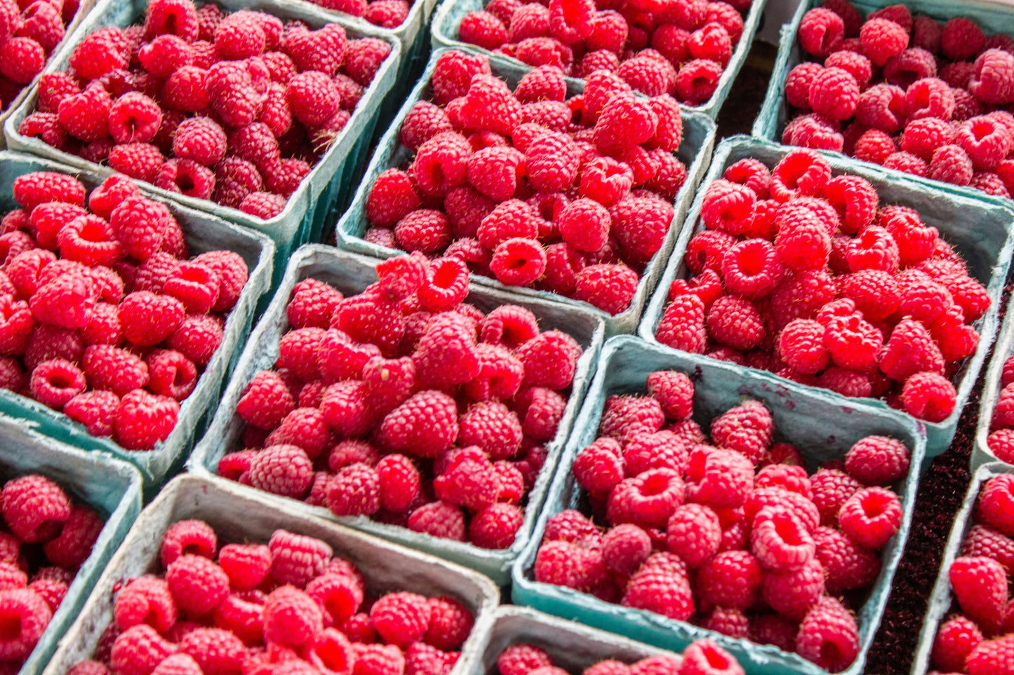 Raspberry Basil Bubbles