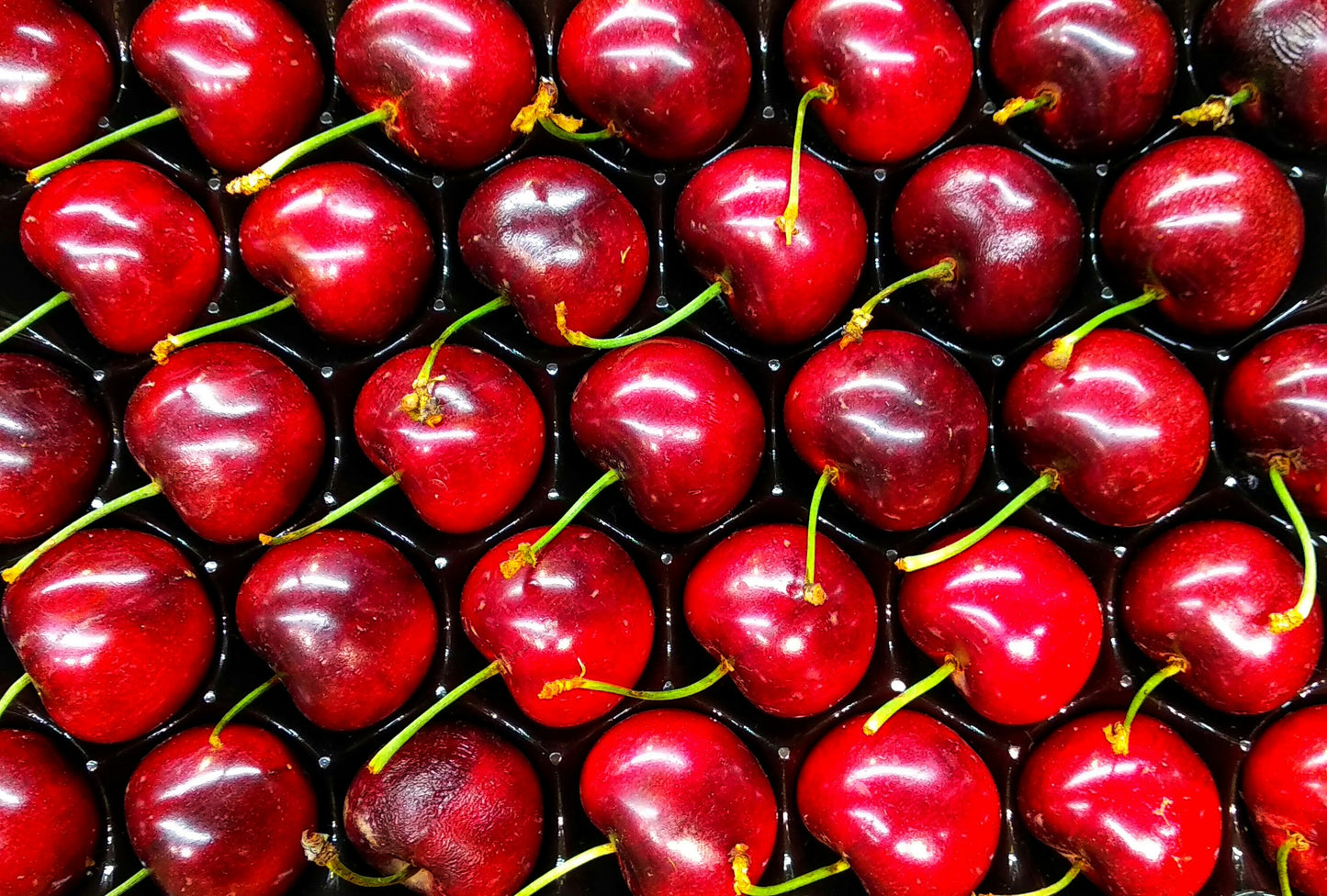 Dark Cherry Escape
